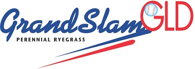 Grand Slam GLD Perennial Ryegrass